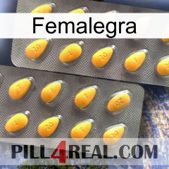 Femalegra cialis2